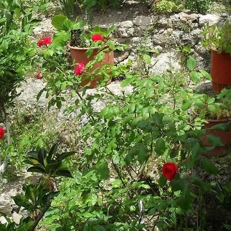 Emiliano Castle Of Kruja