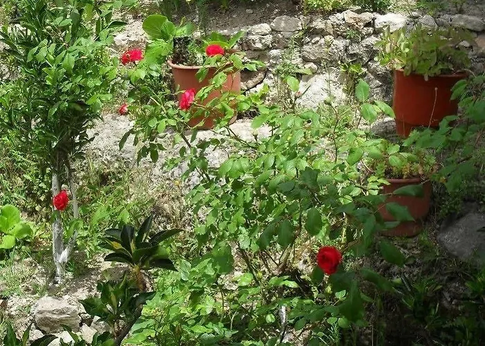 Emiliano Castle Of Krujë